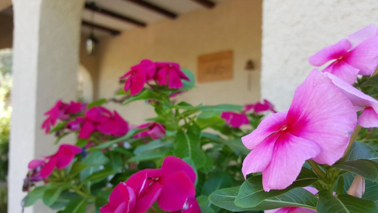 Bed and Breakfast Casa Jetizo Онтеньенте Экстерьер фото