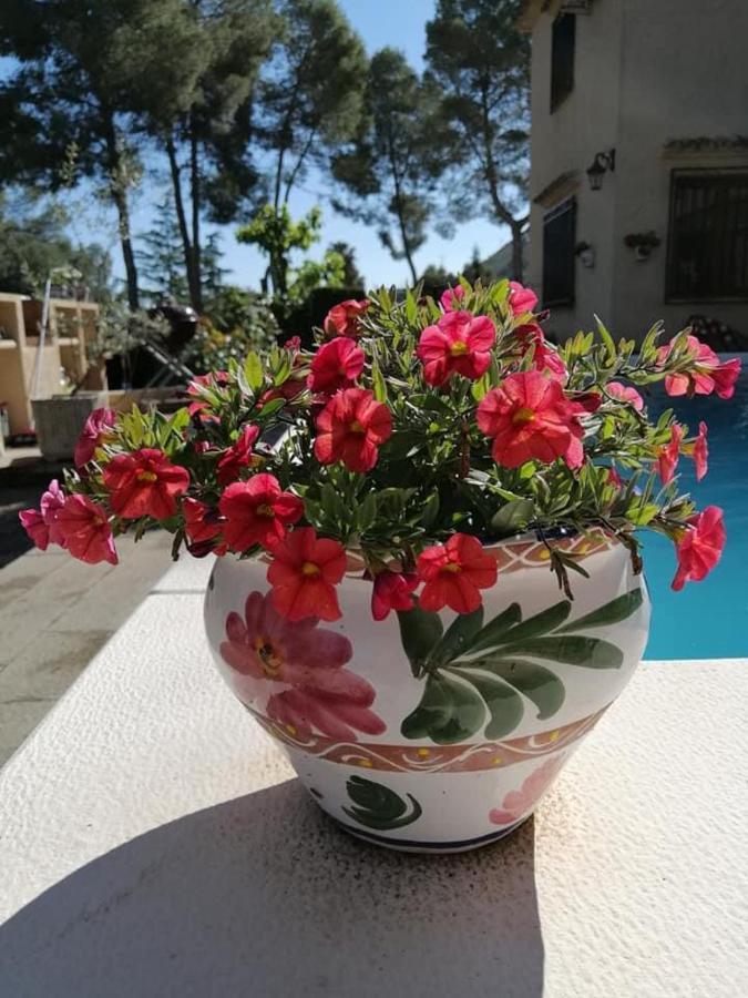 Bed and Breakfast Casa Jetizo Онтеньенте Экстерьер фото